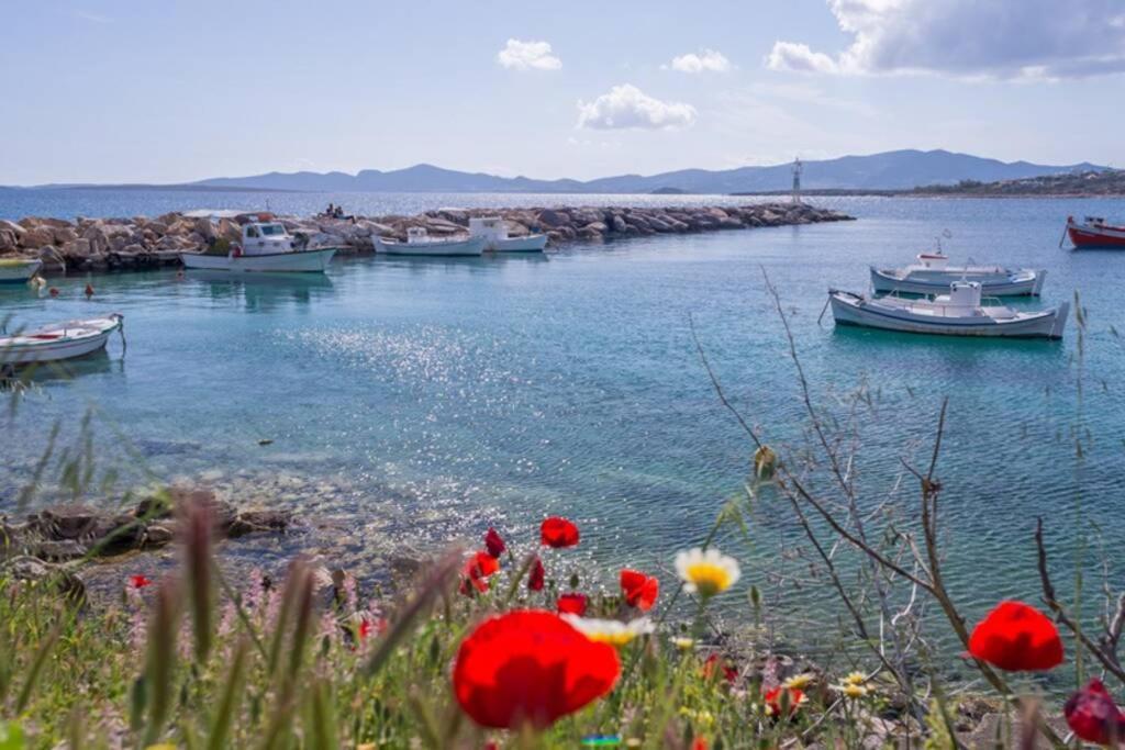 Villa Exohiko Alikí Esterno foto